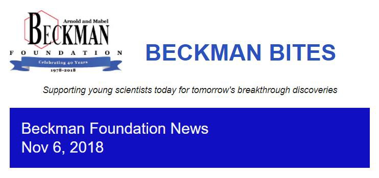 November Newsletter.JPG